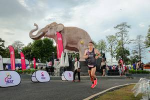 BIB: 
                            <button type="button" onclick="openModal(26528367)" class="btn btn-primary btn-sm float-right btn-popup" data-toggle="modal" data-target=".modal-high-quality">
                        <i class="fas fa-shopping-cart"></i> Add to Cart
                    </button>
                                            <button type="button" onclick="isThisMe(26528367, true)" class="btn btn-success btn-sm float-right btn-popup btn-isme hidden" data-toggle="tooltip" data-placement="bottom" title="นี่คือรูปของคุณใช่ไหม คลิกที่นี่เพื่อเอาเข้าอัลบั้ม">
                        <i class="fas fa-plus"></i> Add to album
                    </button>
                    <button type="button" onclick="isThisMe(26528367, false)" class="btn btn-warning btn-sm float-right btn-popup btn-isnotme hidden">
                        <i class="fas fa-ban"></i> Remove from album
                    </button>